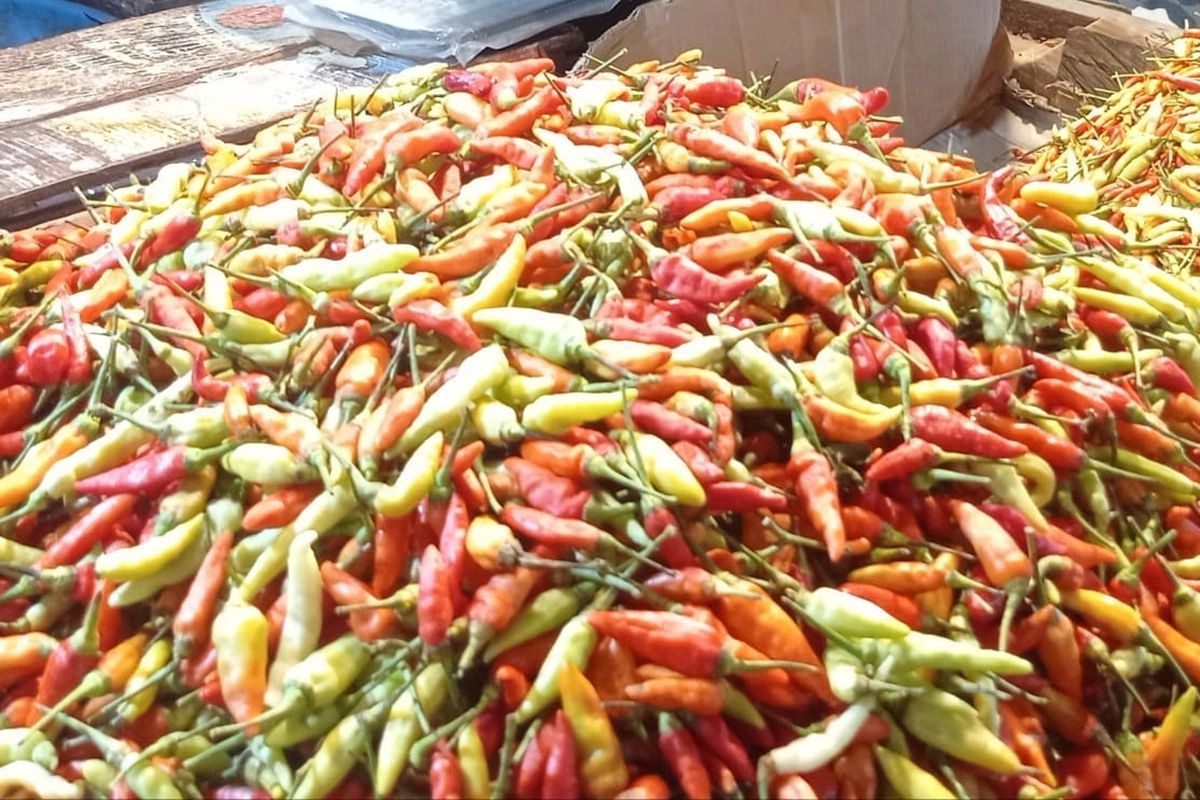 Harga Cabai di Pasar Induk Kramat Jati Turun Usai ''Diguyur'' Kementan
