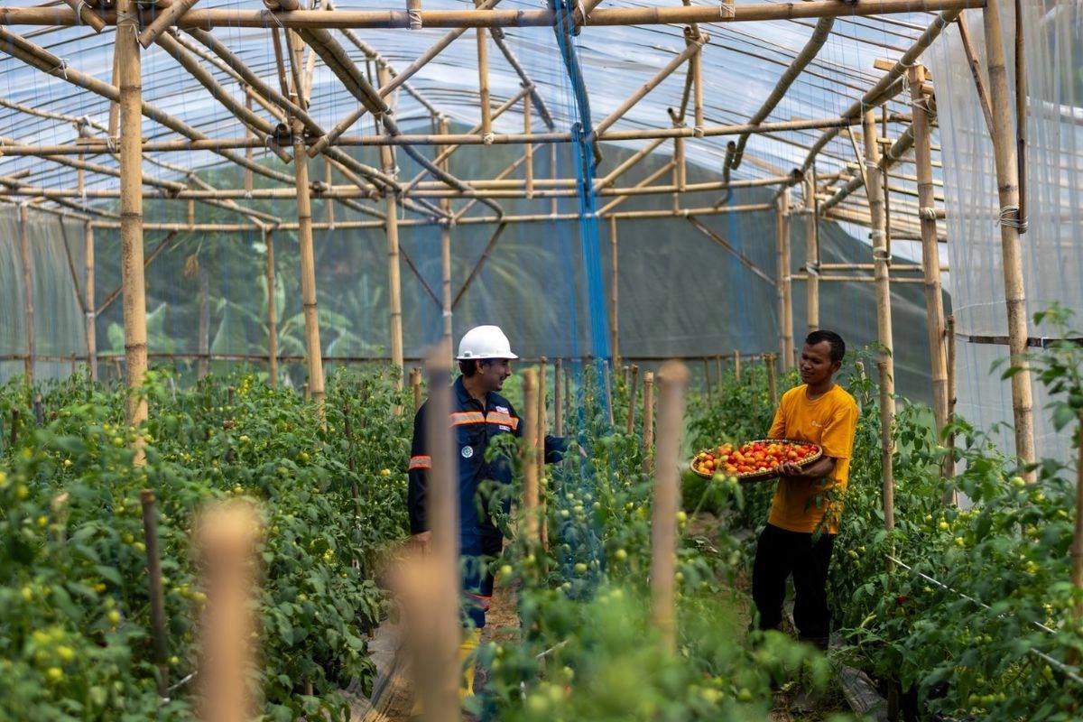 Pemulihan Lahan Tidur Dorong Ekonomi Desa Kalongliud