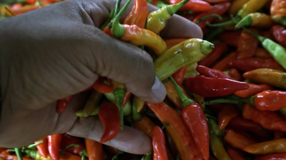 Pangan Mahal, Harga Cabai hingga Daging Masih Tinggi