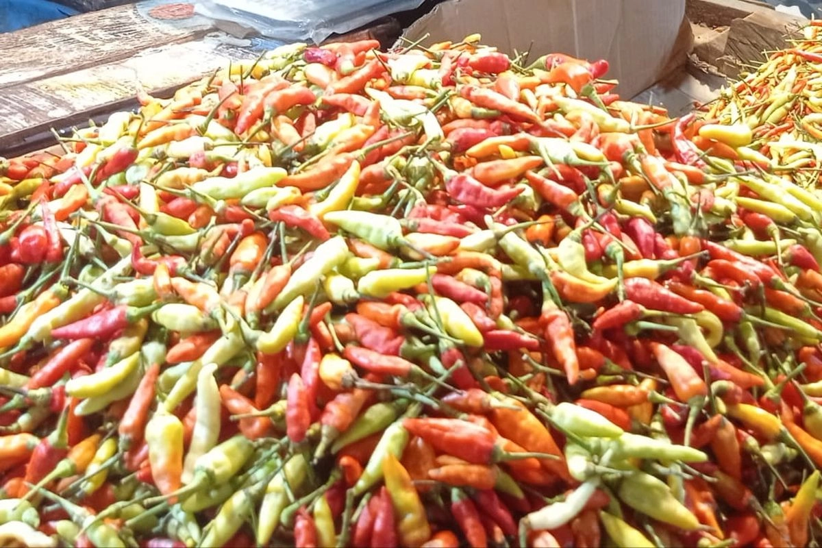 Pemerintah Sudah Guyur 10,9 Ton Cabai Ke Pasar Induk Kramat Jati