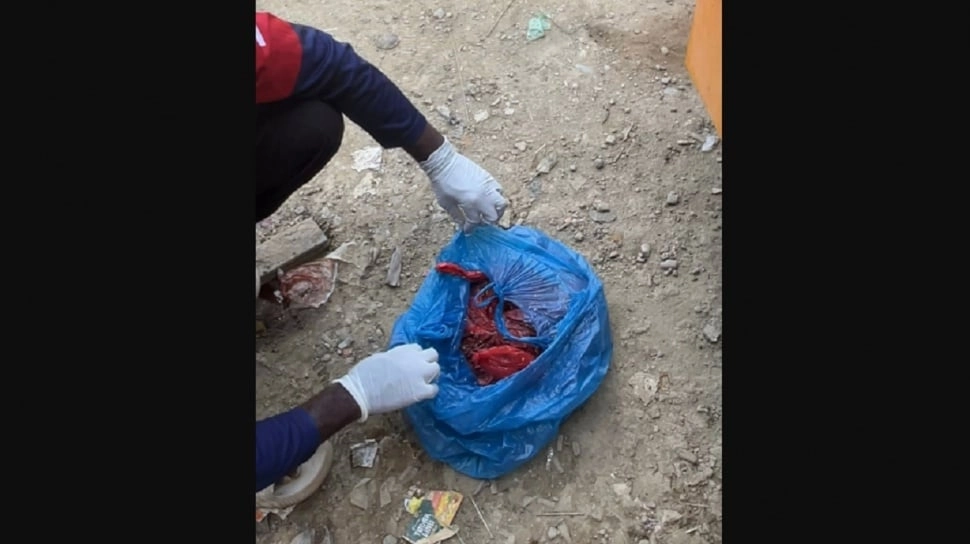 Polisi Turun Tangan Dalami Kasus Relawan Diteror Bangkai Anjing Tanpa Kepala di Aceh Tamiang