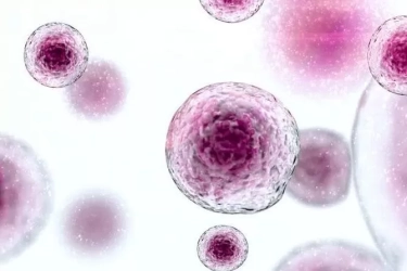 Terapi HSC Darah Tali Pusat Bebaskan Thalasemia dari Transfusi