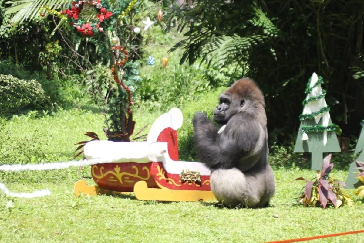 Ragunan Tutup pada Hari Pertama Lebaran 21 Maret 2026, Buka Lagi H+1