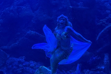 Ada Pertunjukan Mermaid dan Tarian Lebaran di BXSea, Sekian Harga Tiketnya