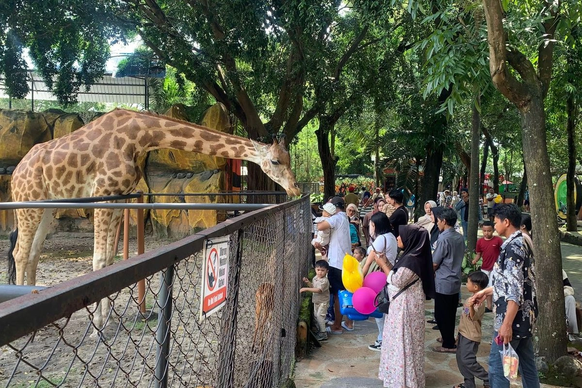Akhir Libur Lebaran, Nikmati Parade Satwa dan Interaksi Edukatif di Kebun Binatang