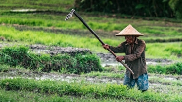 Bisakah Pertanian Masyarakat Adat Menjawab Krisis Pangan Global? Ini Temuan Terbarunya