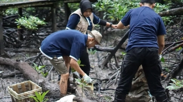 Kolaborasi Telkom dan AYS Indonesia Dorong Pemulihan Ekosistem Alam di Tarakan