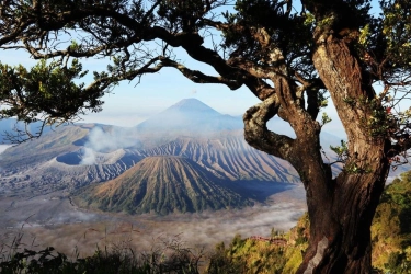 Liburan ke Bromo? Ini 6 Aktivitas yang Wajib Dicoba