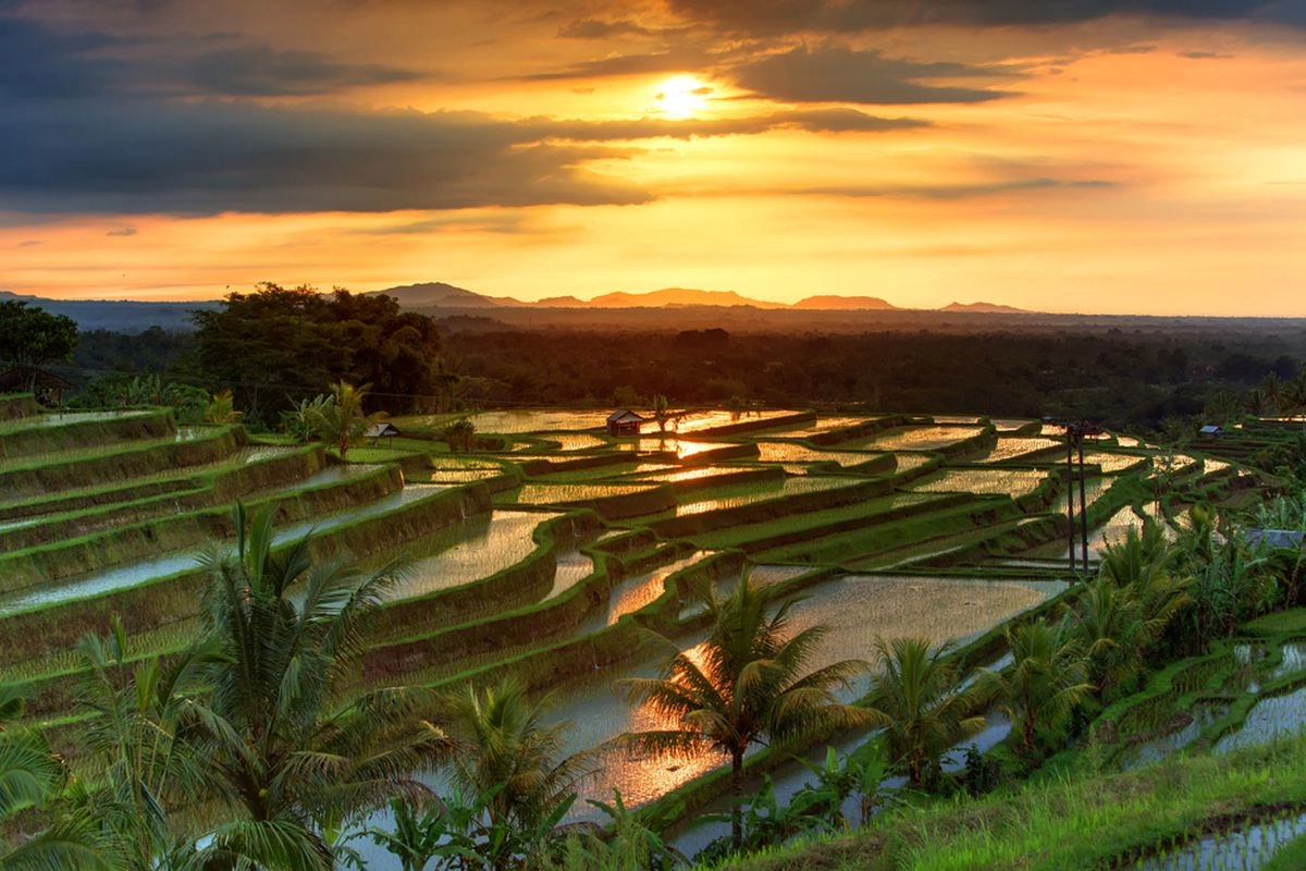 Liburan Sambil Peduli Bumi, Ini 7 Wisata Ramah Lingkungan di Indonesia