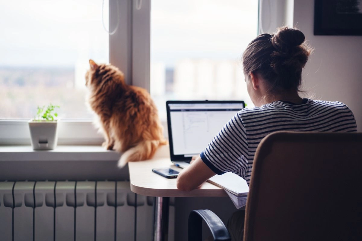 WFH: Efektivitas atau Fleksibilitas?