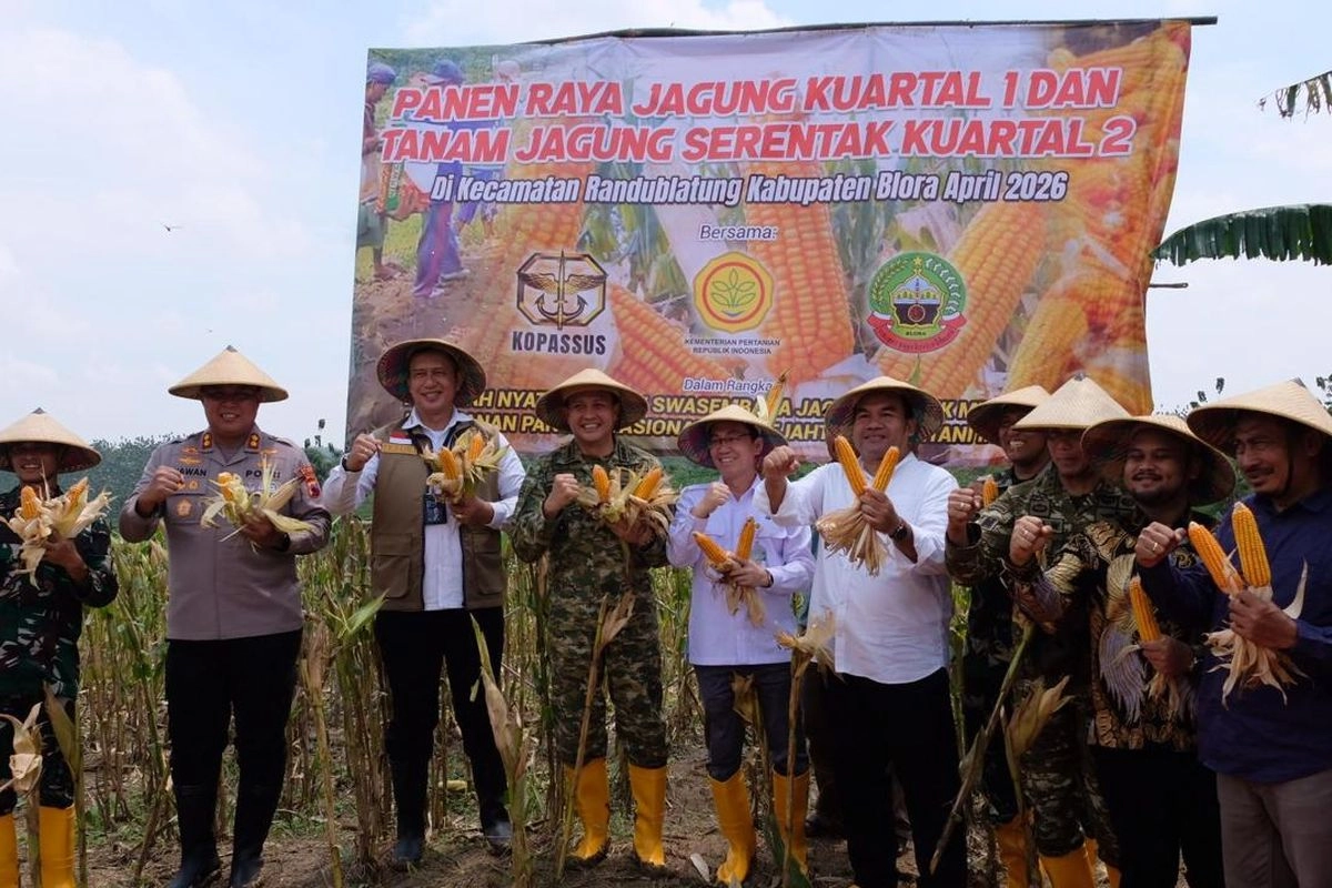 Bulog Komitmen Serap Jagung Blora untuk Pakan dan Bioetanol