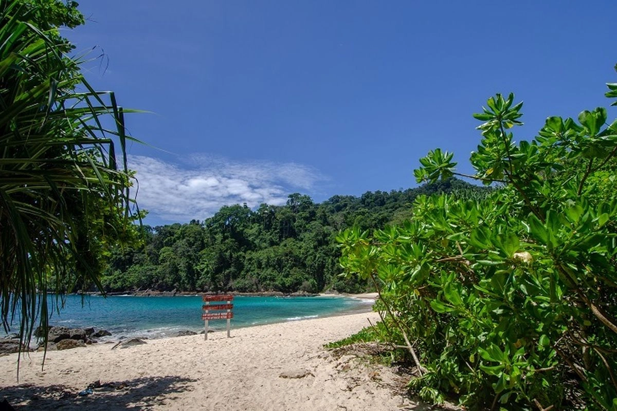 Rekomendasi 7 Wisata Alam Hidden Gem Banyuwangi, Cocok Untuk Santai