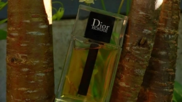 5 Parfum Cowok Terbaik Isi Ulang, Wanginya Nempel dan Meninggalkan Jejak