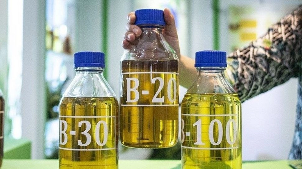 CELIOS Wanti-Wanti Mandatori B50 Bisa Bikin Rugi Negara