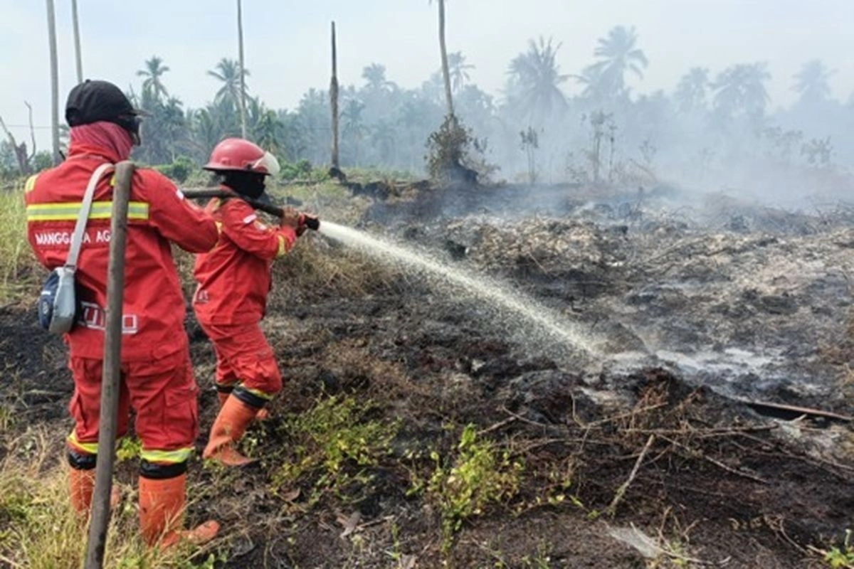 BMKG Ingatkan Risiko Kekeringan-Karhutla Meningkat imbas El Nino