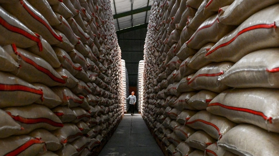 Panen Raya dan Stok Bulog Melimpah, Kenapa Harga Beras Justru Naik?
