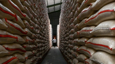 Panen Raya dan Stok Bulog Melimpah, Kenapa Harga Beras Justru Naik?