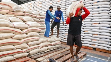 Distribusi Terganggu, Perdagangan Beras Antarwilayah Disebut Mulai Macet