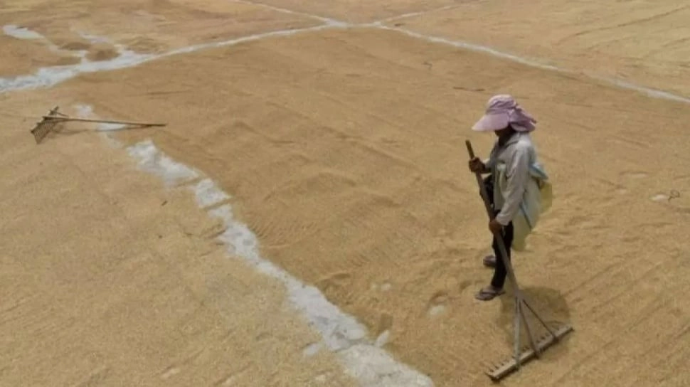 Harga Gabah Tinggi, Pedagang Sulit Jual Beras Sesuai HET