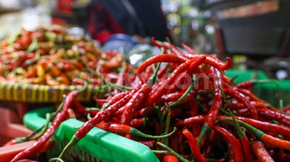 Harga Pangan Hari Ini: Cabai Turun Tajam, Bawang dan Beras Naik