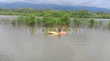 Jaga Kelestarian Alam, Ekowisata Mangrove di Lombok Timur Ini 'Mengalah' Demi Napas Lingkungan