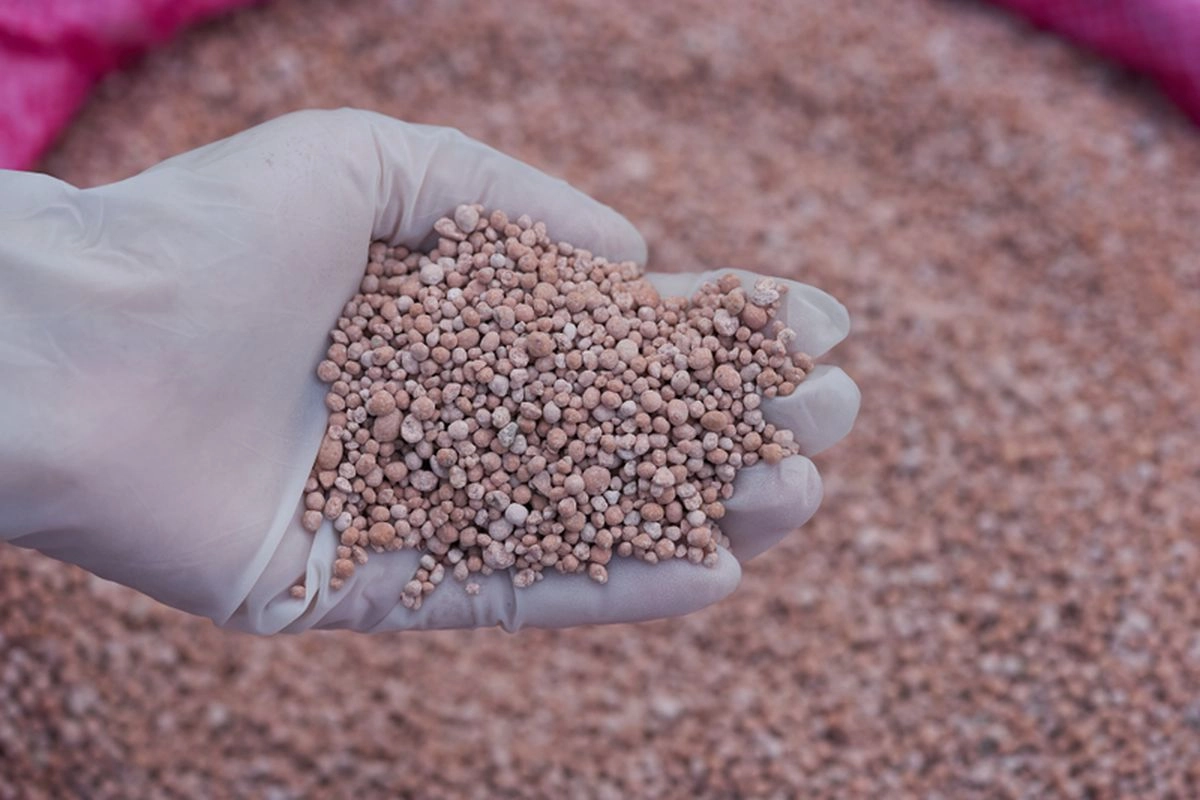 Krisis Selat Hormuz Tekan Pasokan Pupuk, Produksi Pangan Terancam