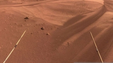 Geger Jejak Misterius di Mars, NASA Temukan Struktur Aneh seperti Sisik Hewan