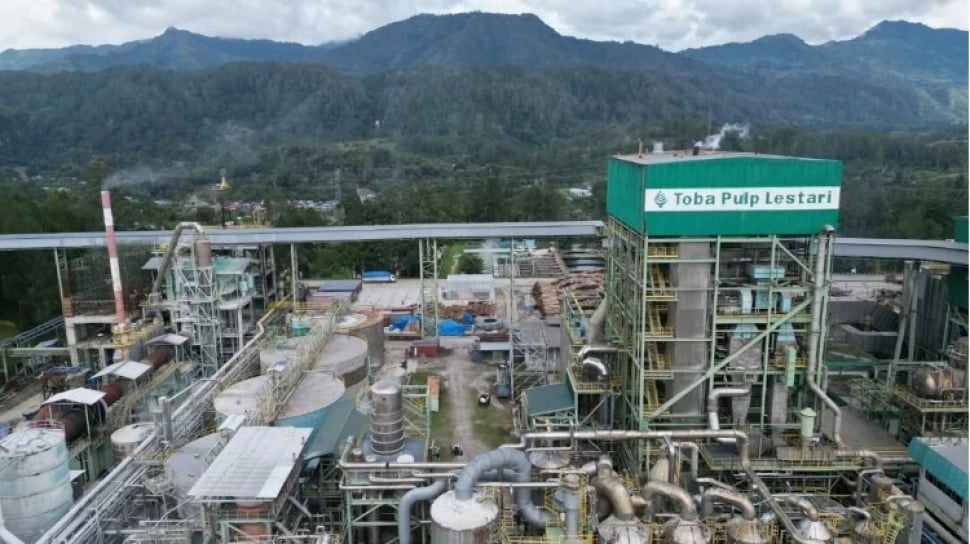 Izin Konsesi Dicabut Prabowo, Toba Pulp PHK Hampir Semua Karyawan