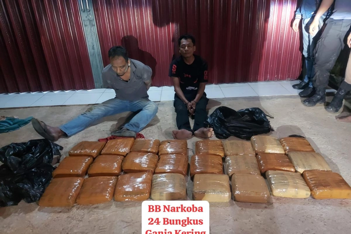 Peredaran 23 Kg Ganja di Riau Terungkap, 2 Kurir Ditangkap Polisi