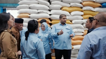 Target 4 Tahun Jadi 1,5 Tahun, DPR Puji Kecepatan Mentan Amran Wujudkan Swasembada Beras!