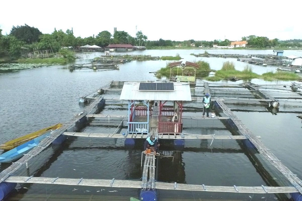 BKI Gandeng PLN Indonesia Power Jajaki Kerja Sama Dekarbonisasi