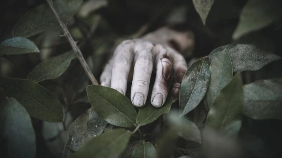 20 Tahun Tewas Misterius, Pembunuh Sadis Mayat Perempuan Prancis dalam Tong Air Ditangkap