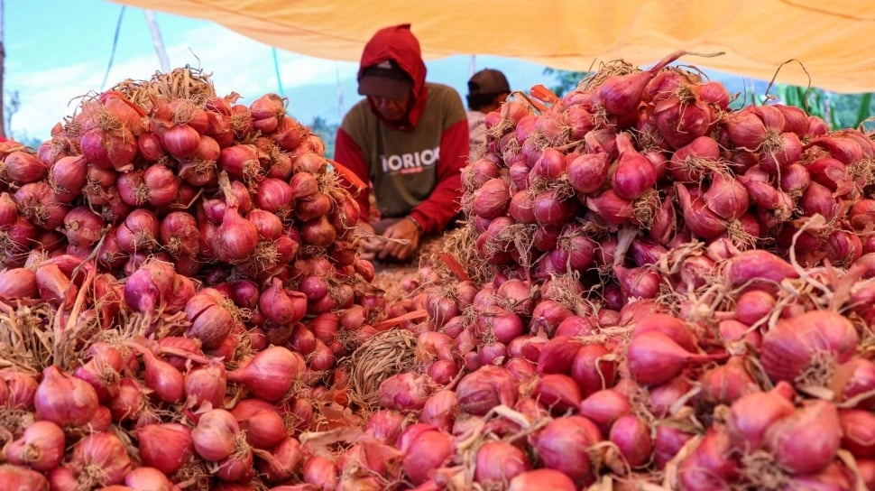 Lonjakan Harga Pangan Hari Ini: Bawang Merah, Cabai, hingga Telur