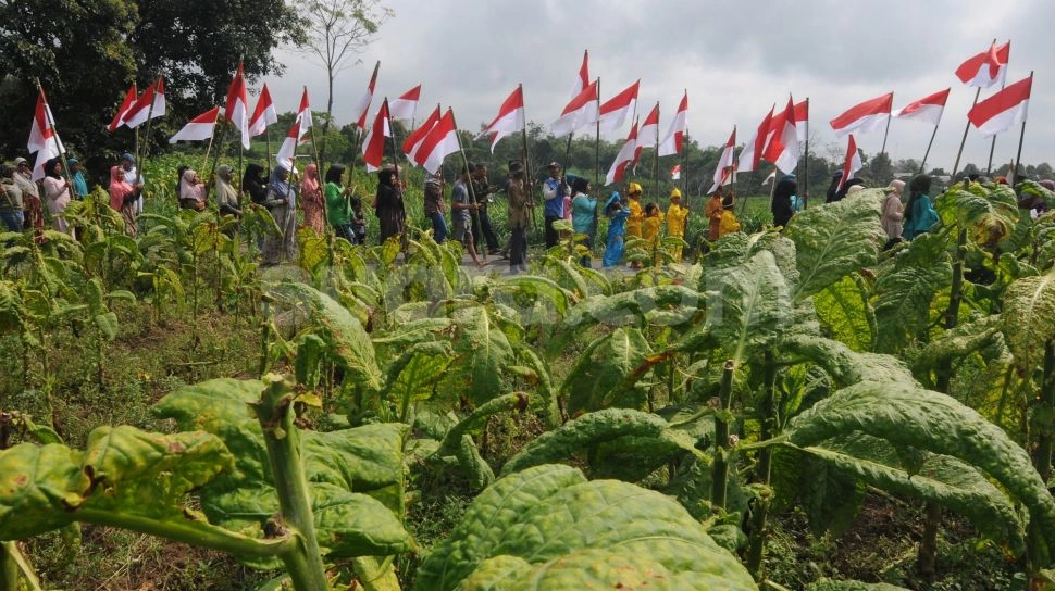 Wamenaker: Biaya Membunuh Industri Tembakau Sangat Murah, Tapi...