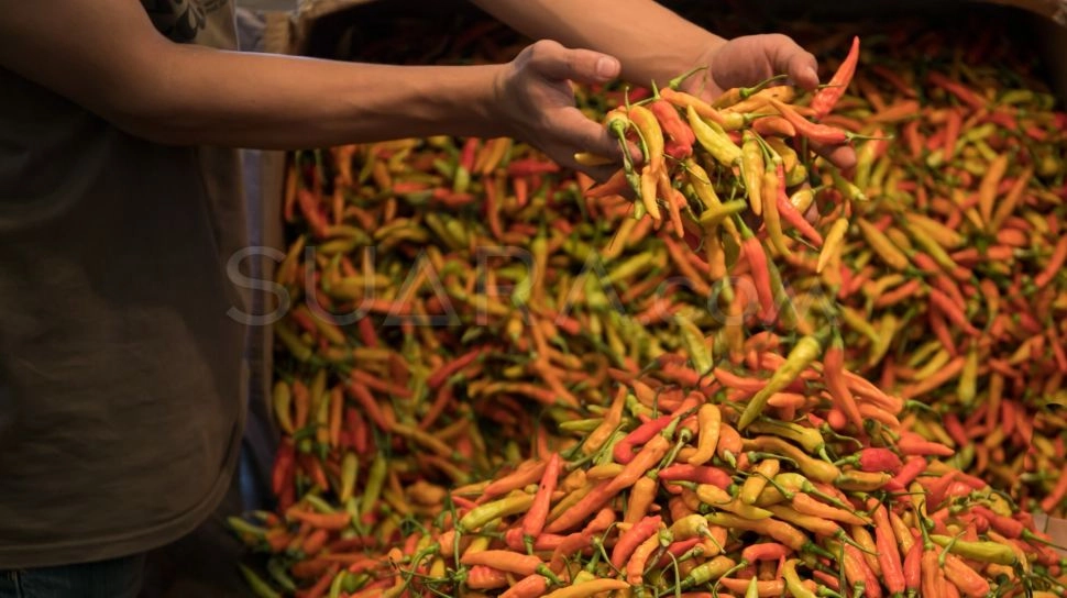 Harga Pangan Hari Ini: Cabai Rawit Tembus Rp60.000 per Kg, Telur Ayam Rp31.000