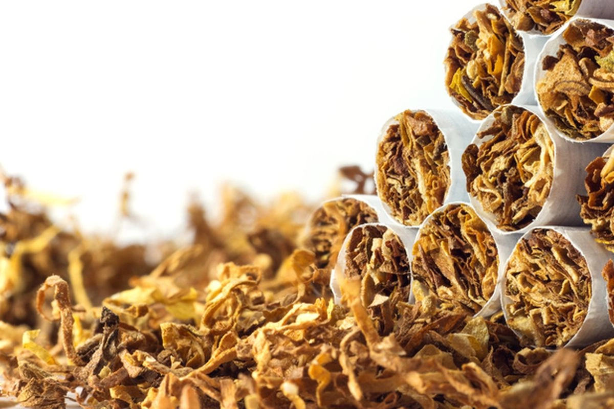 SPSI Soroti Ancaman PHK akibat Usulan Batas Nikotin dan Tar Rokok
