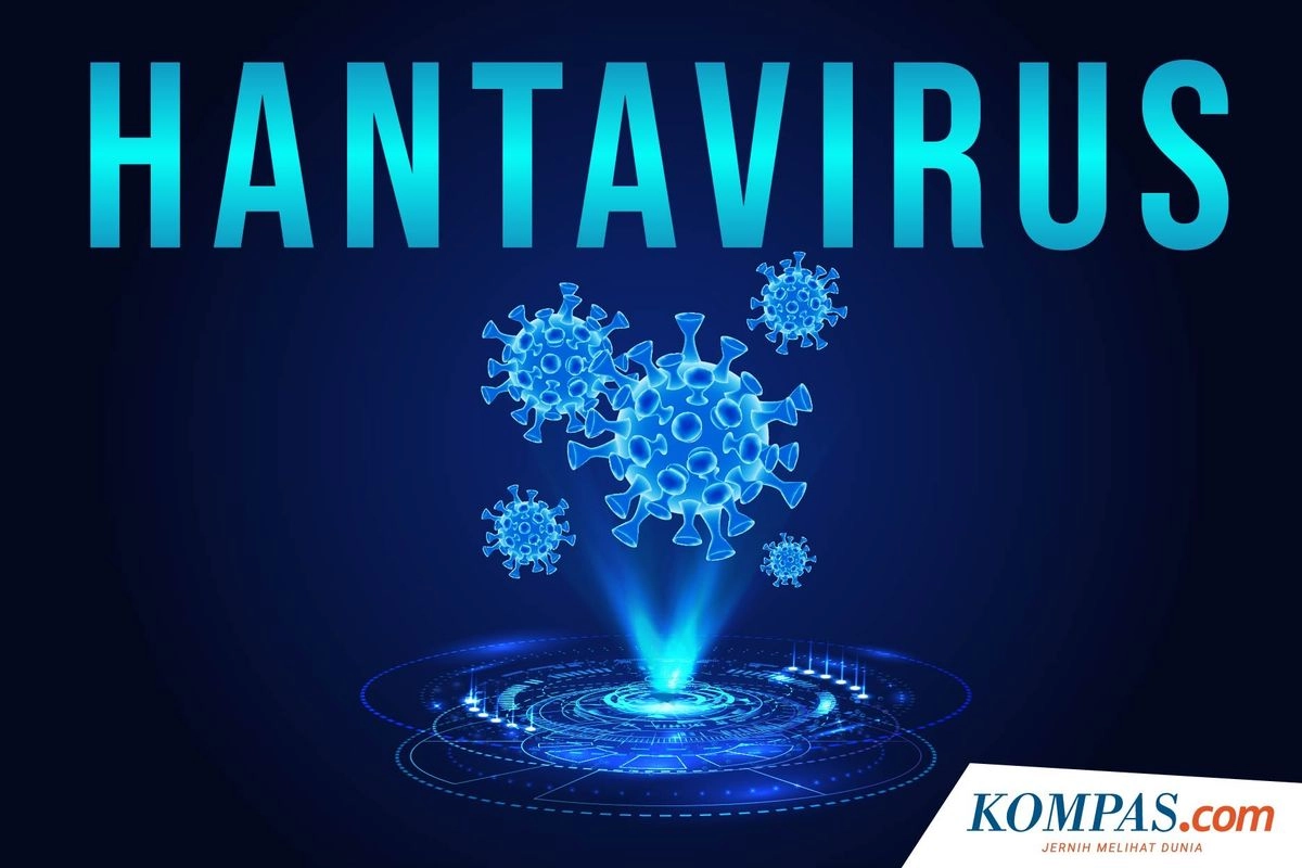 Wabah Hantavirus Berbeda dengan Pandemi Covid-19, Ini Alasannya