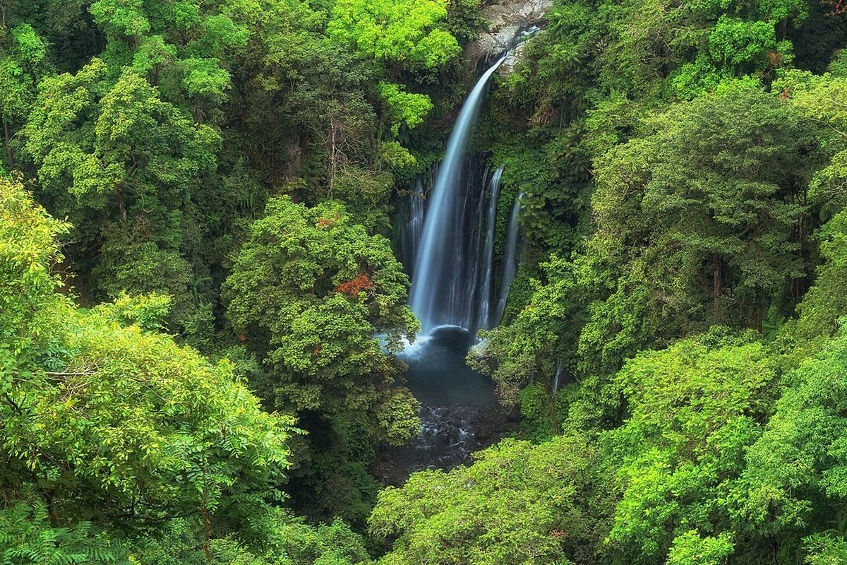 8 Air Terjun Paling Cantik di Indonesia untuk Pecinta Petualangan
