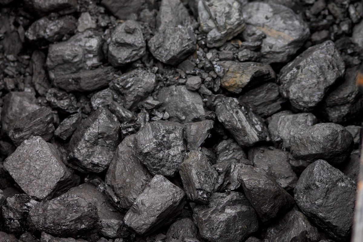 PELNI Perdana Angkut 55.000 Ton Batu Bara
