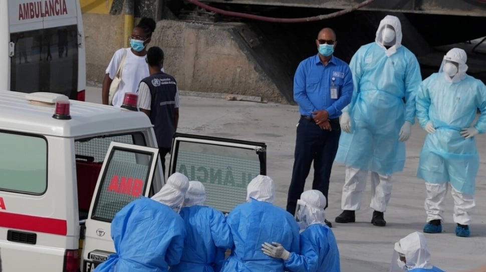 Hantavirus Strain Andes Bisa Menular Antar Manusia, Tapi Harus Kontak Erat dan Lama