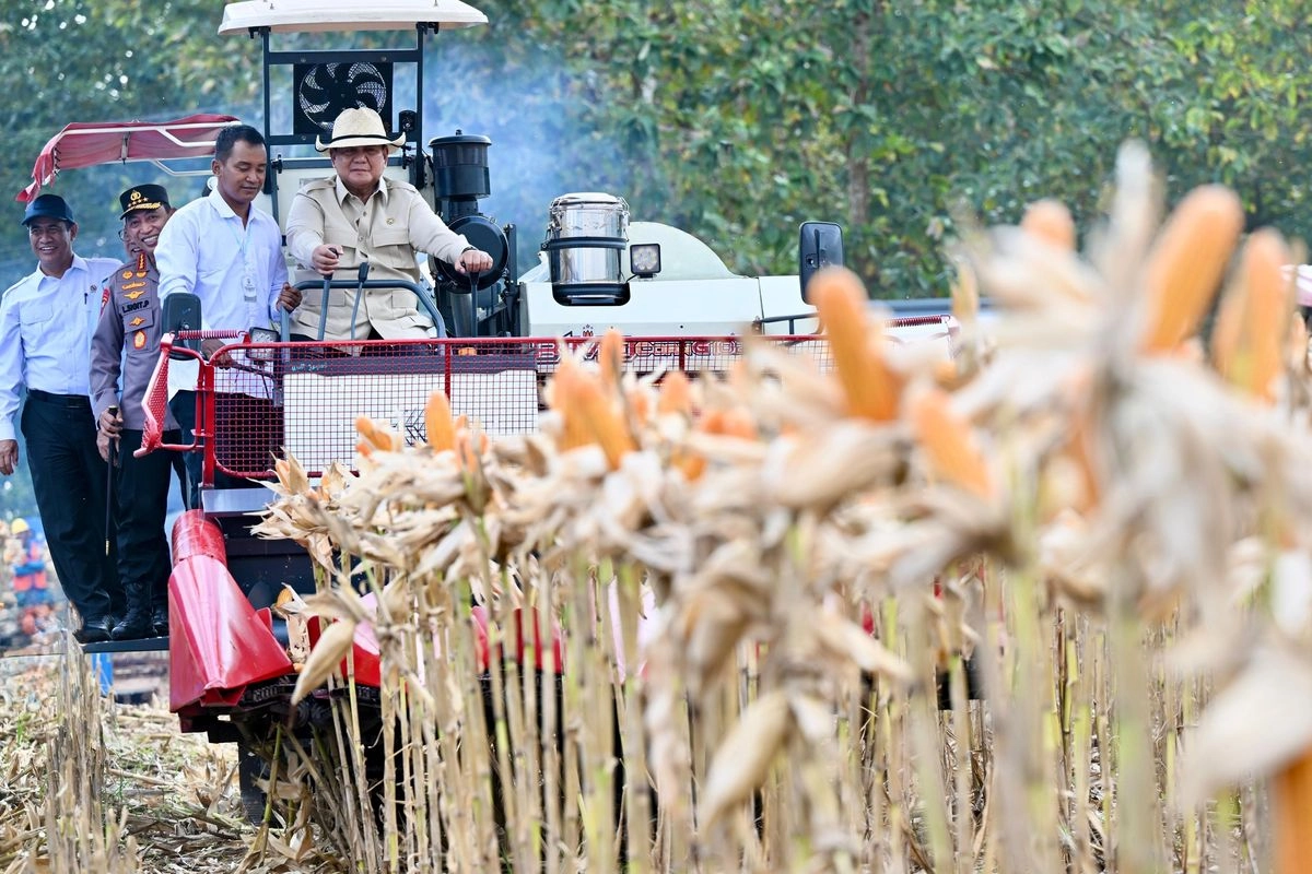 Potret Prabowo Panen Jagung: Nyetir Traktor ''Combine Corn Harvester'', Pakai Topi Koboi
