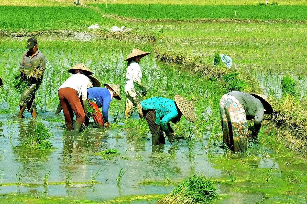 Ekonom: Tak Pakai Dollar, Warga Desa Tetap Terdampak Pelemahan Rupiah