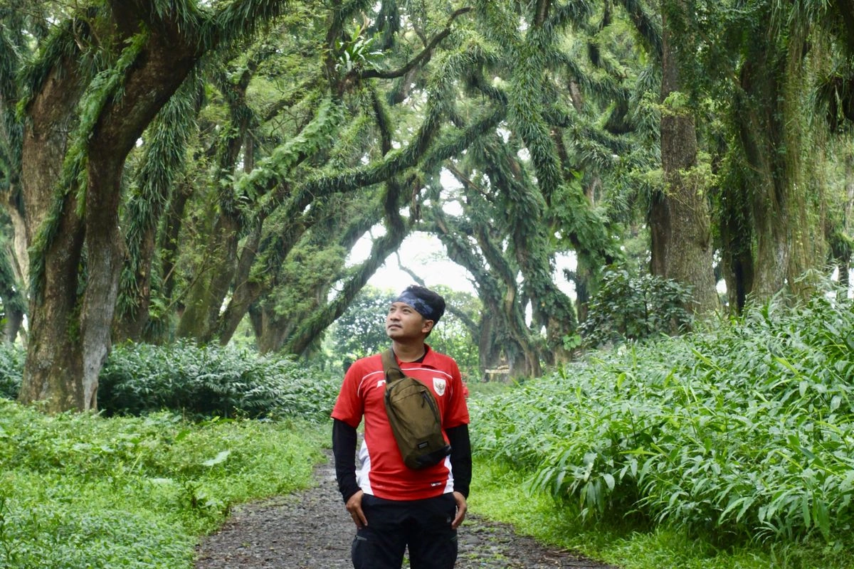 Tak Cuma Pantai, Hutan dan Kota di Banyuwangi Ramai Wisatawan Saat Long Weekend