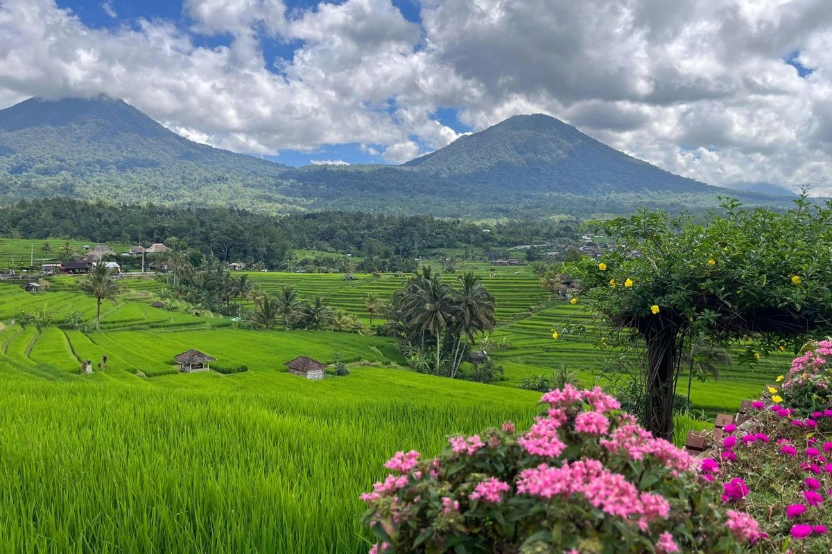 Bali Tourism Run 2026, Ajak Wisatawan Lari dan Bermalam di Jatiluwih