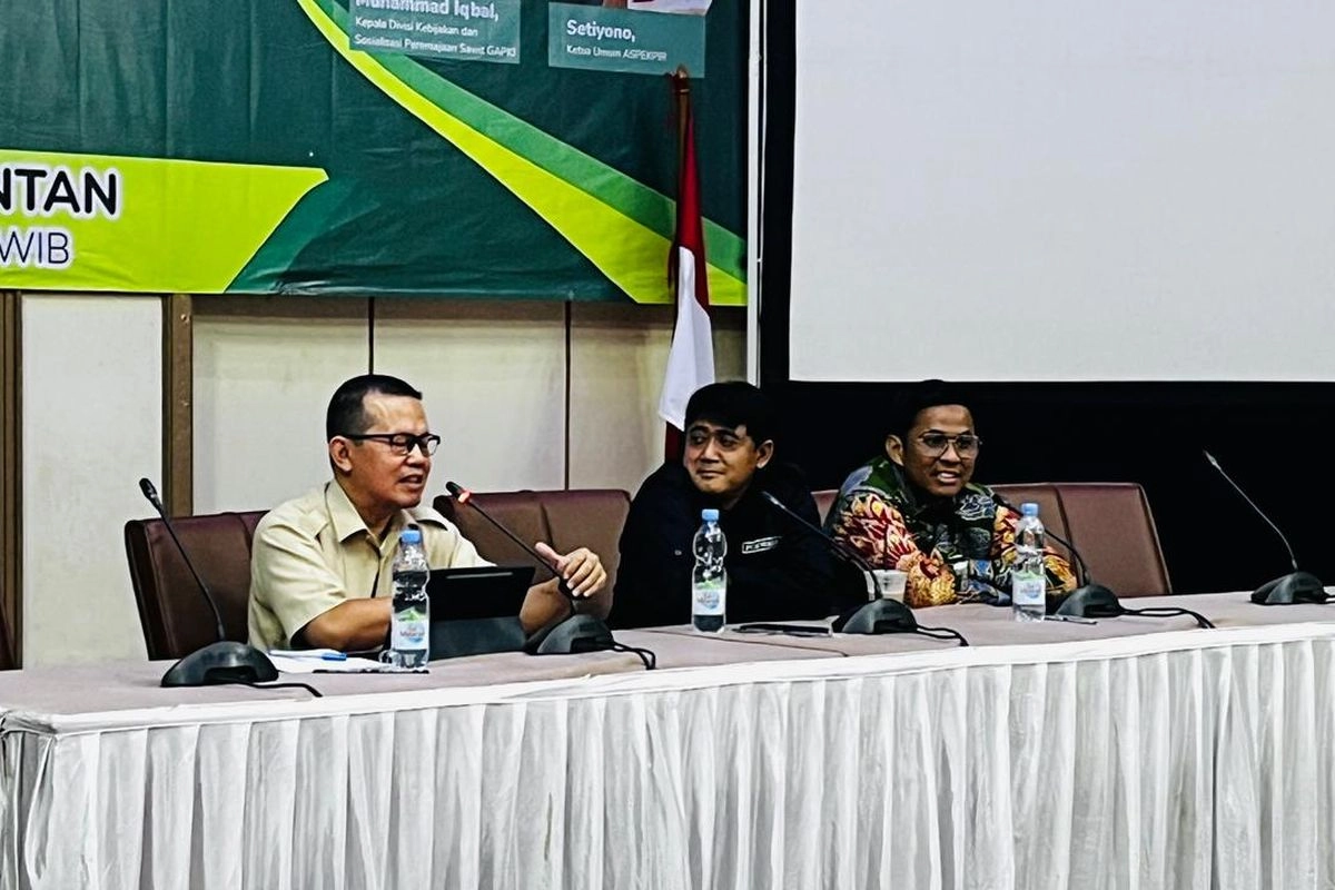 Lahan Sawit Tak Mungkin Bertambah, Peremajaan Jadi Kunci