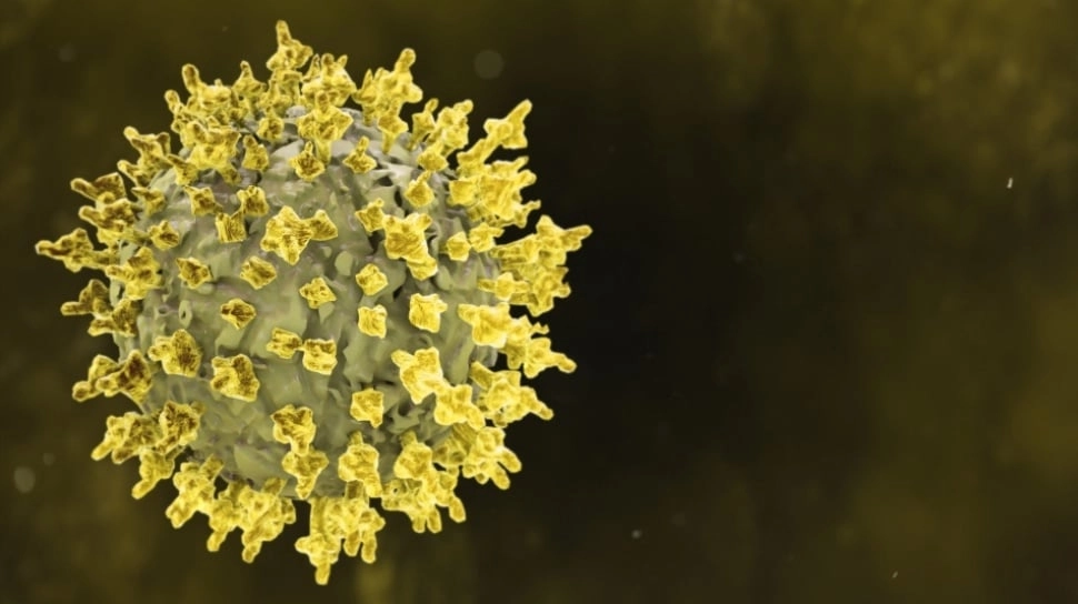 Waspada! Ancaman Ebola Selevel Awal Pandemi Covid-19