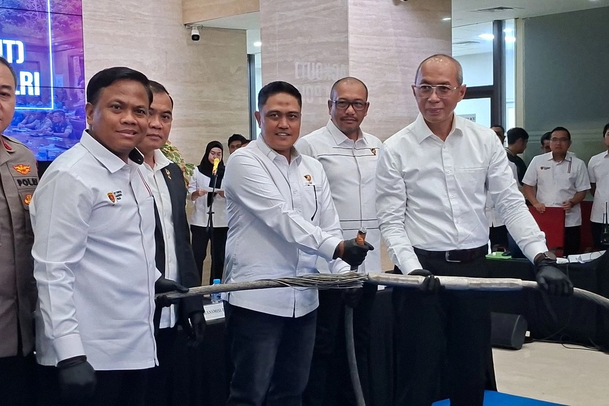 Ini Penampakan Kabel SUTET Diduga Pemicu Blackout di Sumatera