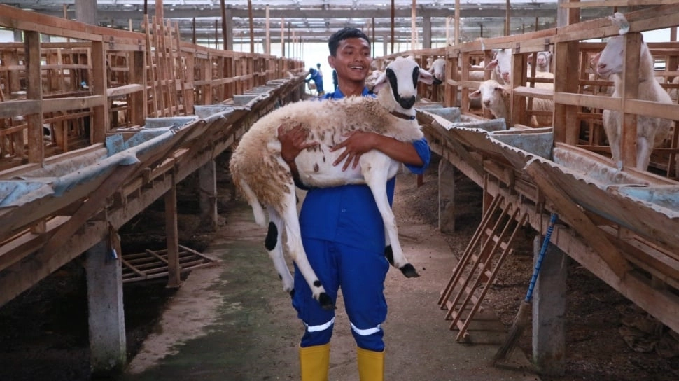 Bolehkah Kurban Satu Kambing untuk Sekeluarga Saat Iduladha? Ini Hukumnya