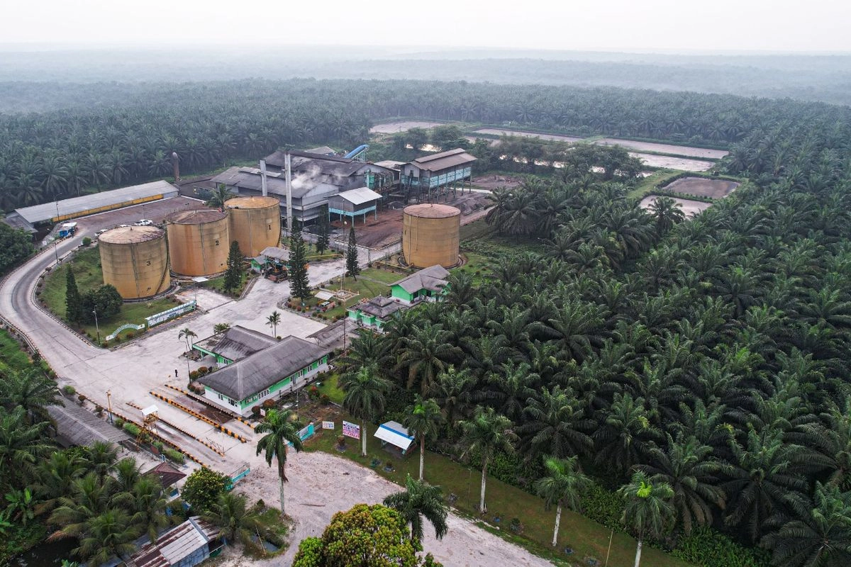 BWPT Masuk Indeks ESG-KEHATI, Dirut: Momentum Penting Transformasi Keberlanjutan