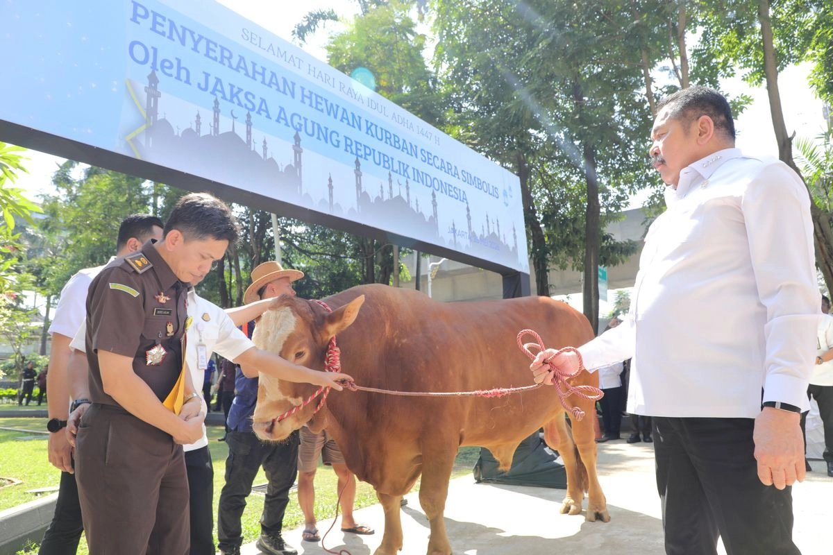 Jaksa Agung Serahkan 57 Sapi Kurban untuk Idul Adha